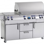 Fire Magic Echelon Diamond Series E790s Stainless Gas Grill at Georgetown Fireplace and Patio